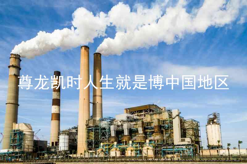 尊龙凯时人生就是博中国地区