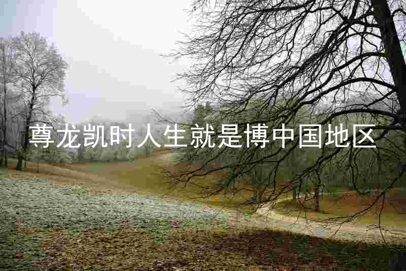 尊龙凯时人生就是博中国地区